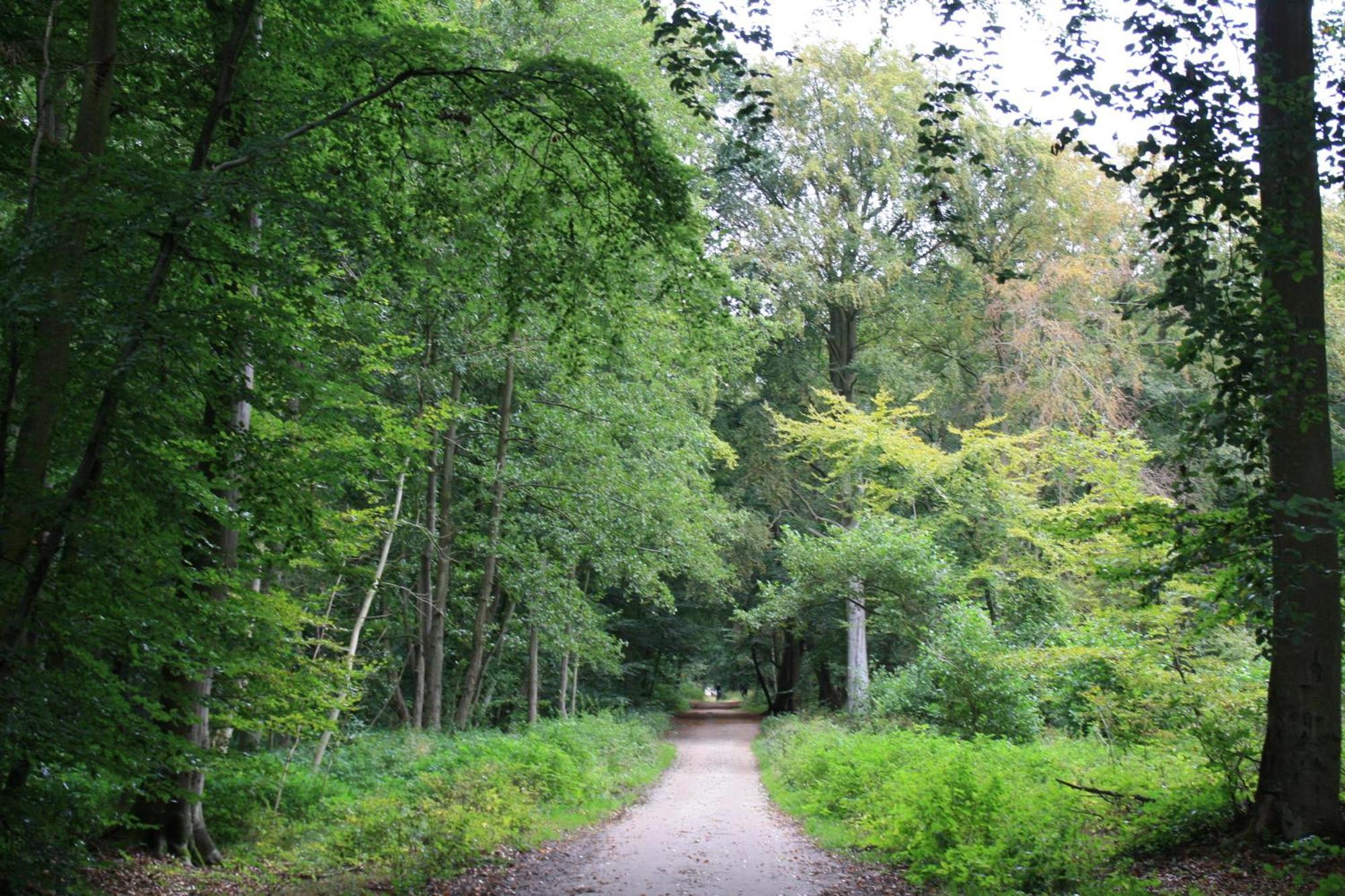Fewo Kaeuzchen - Ulenhoef Prerow Bagian luar foto